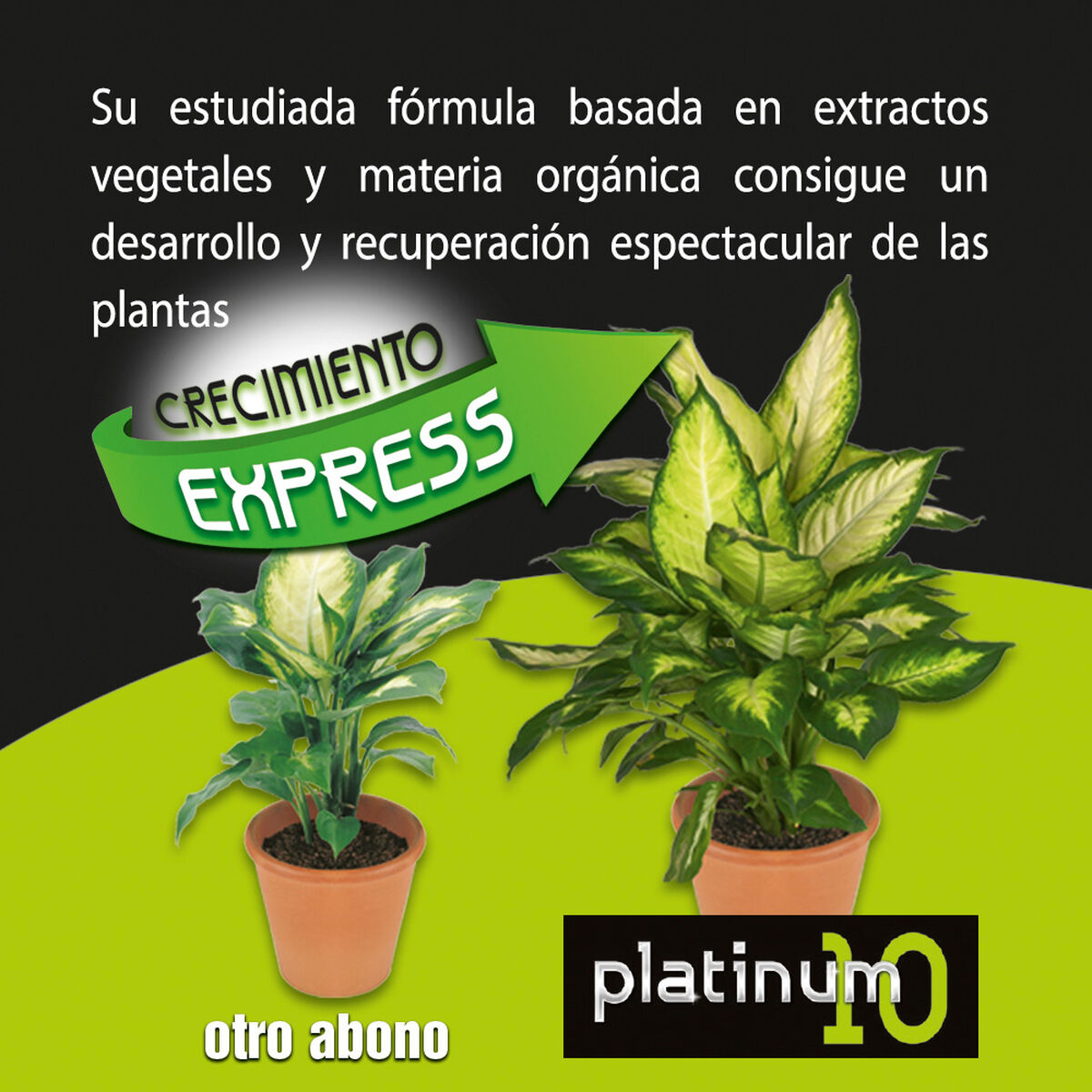 V5H600BFA2E3B6B3EC3F324BC86D5E7B343R5565885P3
